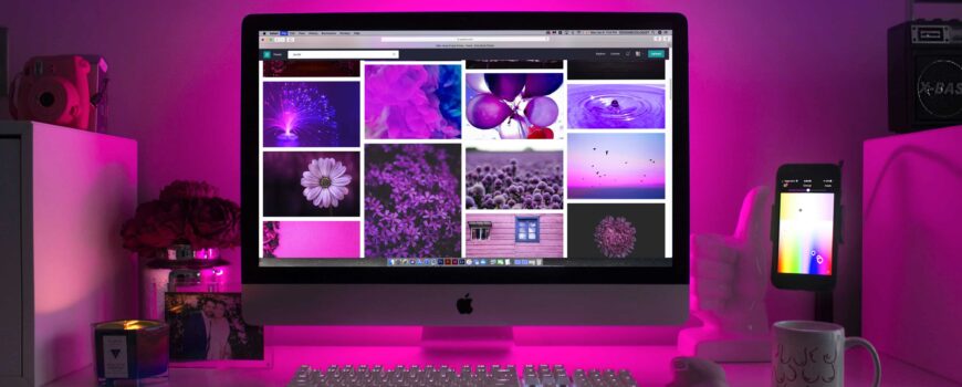 Web designing and development services